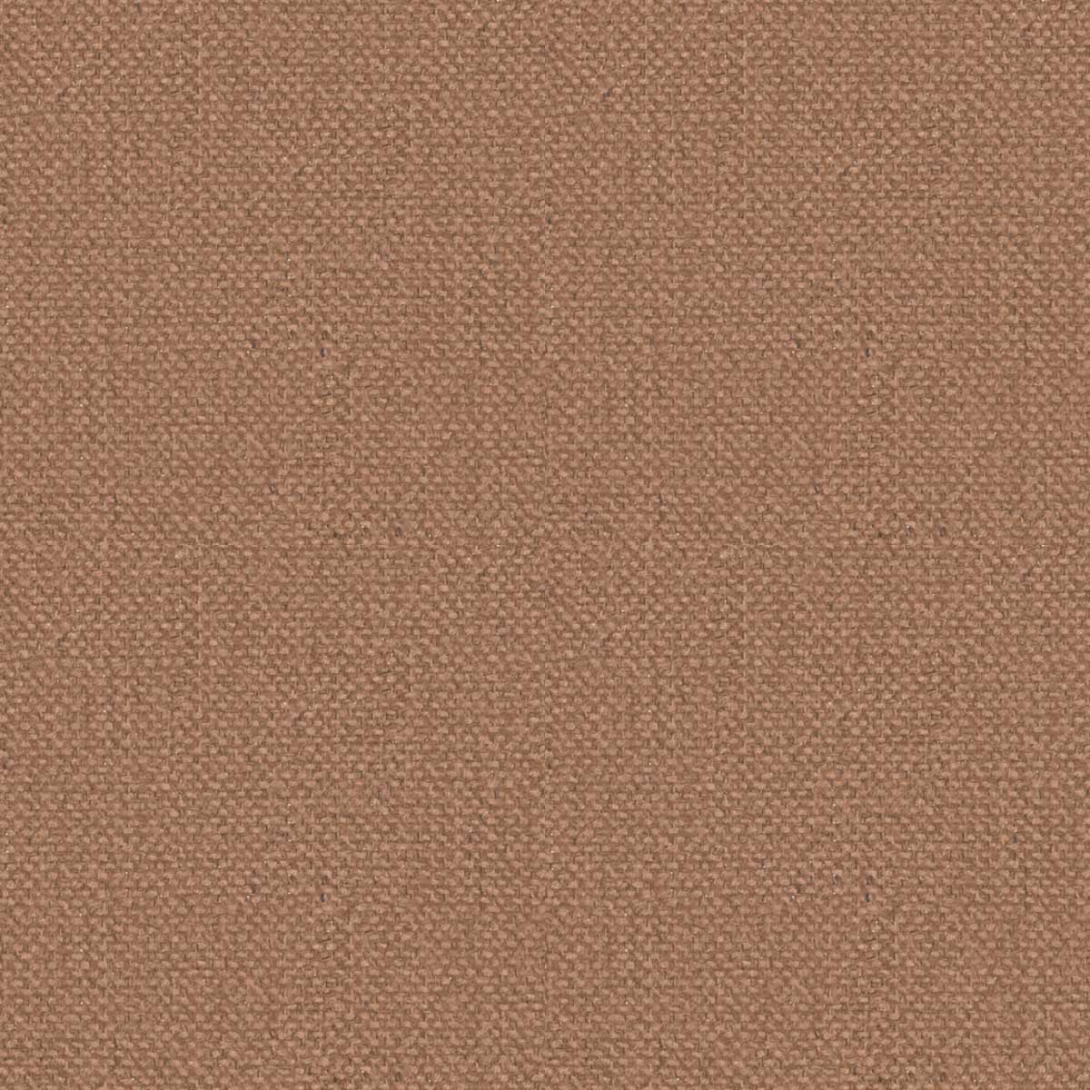 Klee Col. 5518
